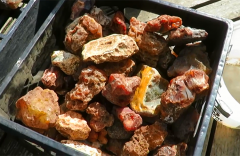 男子捡到奇石:切开后众人惊叹，里面大有文章